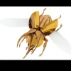 Trophée Origami Scarabée Atlas Doré