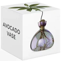 Vase en verre pour avocat