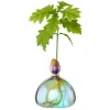 Vase en verre pour gland Cosmic