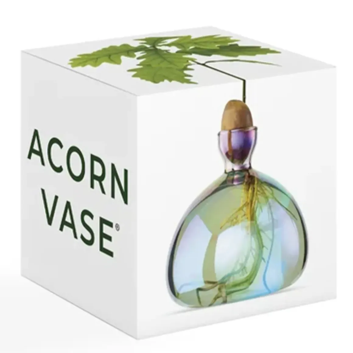 Vase en verre pour gland Cosmic