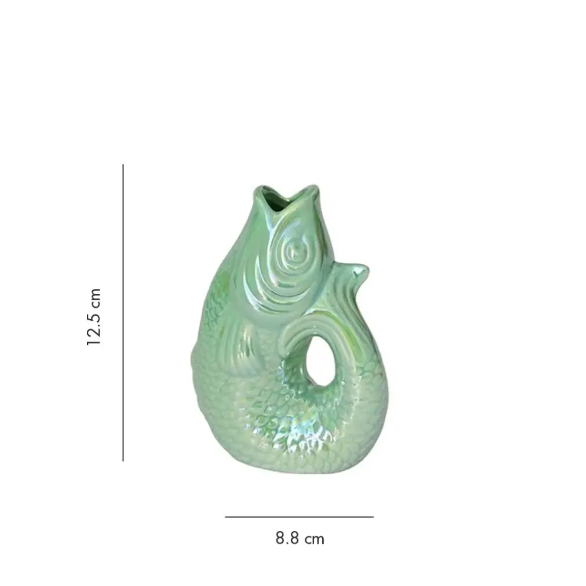 Vase Monsieur Carafon Poisson - Rainbow Mint