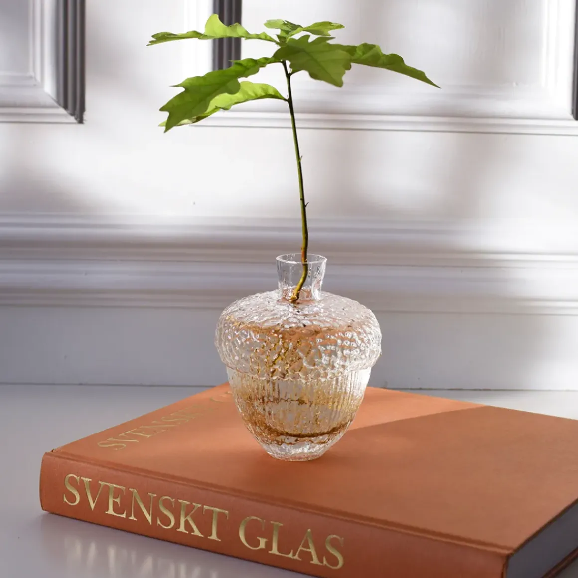 Vase Robur