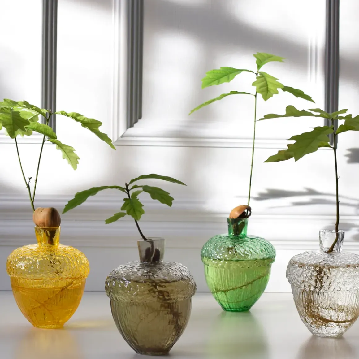 Vase Robur